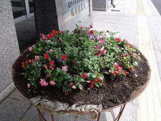 DSCF3120.jpg