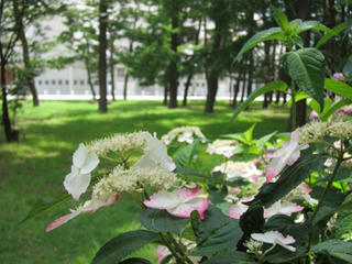IMG_2380-01.jpg