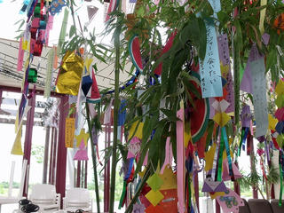 DSCF3145.jpg