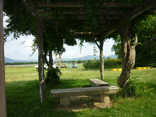 s-P1010046.jpg