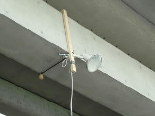 P1000559.jpg