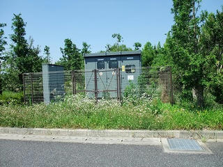 DSCF1604.jpg