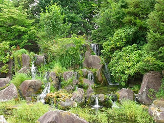 DSCF3482.jpg