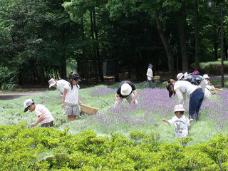 DSCF3558.jpg