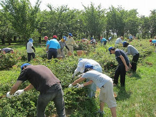 s-IMG_3778.jpg