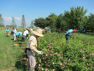s-IMG_3780.jpg