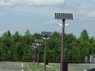DSCF4480.jpg