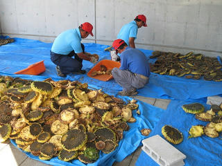 s-IMG_2493.jpg