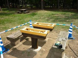 P8.JPG