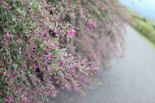 IMG_5666-02.jpg