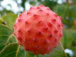 UNI_1028_2.jpg