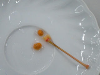 UNI_1029_2.jpg