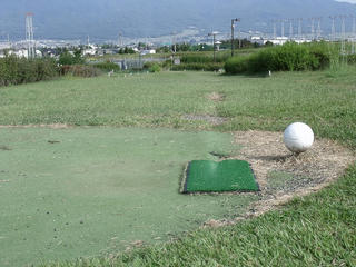 DSCF4686.jpg