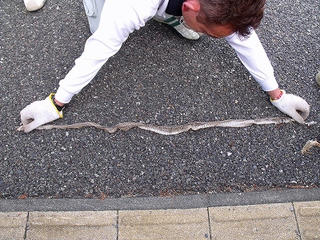 DSCF4743.jpg