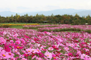 IMG_6179-01.jpg