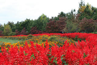 IMG_6210-01.jpg