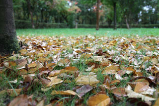 IMG_7863-01.jpg