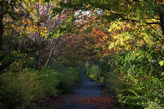 IMG_8080-01.jpg