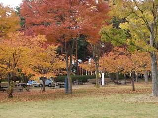 s-PB085606.jpg