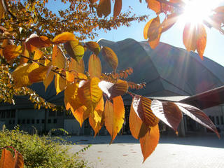 IMG_5728-01.jpg