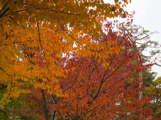 IMG_5846-01.JPG