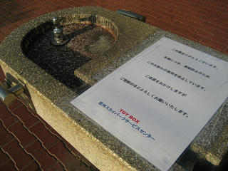 IMG_5541.jpg
