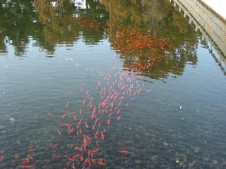 IMG_5557.jpg
