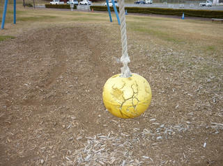 d1f6e6b4.JPG