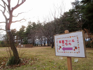 PB285610.jpg