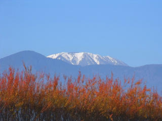 DSCF5709_2.jpg
