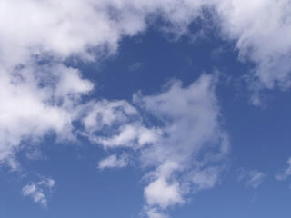 DSCF5713.jpg