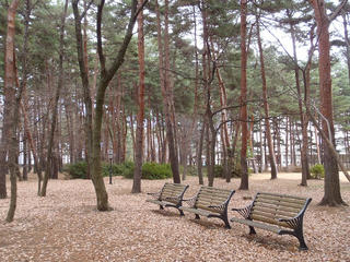 PC110067.jpg