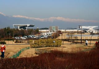 IMG_3558-01.jpg