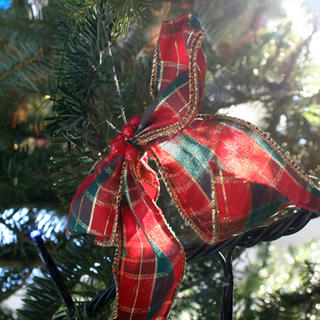 IMG_3580-01.jpg