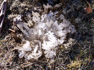 DSCF5940.jpg