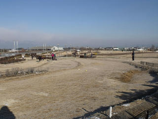 DSCF6123.jpg