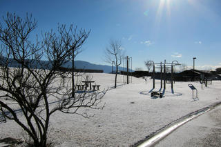 IMG_7335-01.jpg
