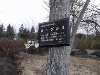 DSCF6291.jpg