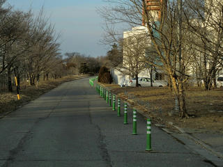 CIMG0828.jpg