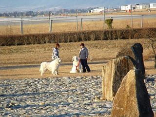 DSCF6492.jpg