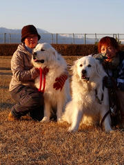 DSCF6496.jpg
