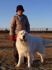 DSCF6503.jpg