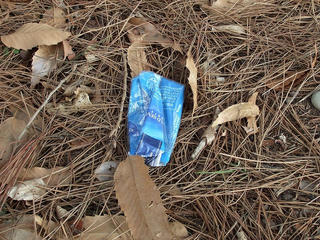 s-DSCF1546.jpg