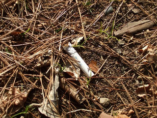 s-DSCF1548.jpg