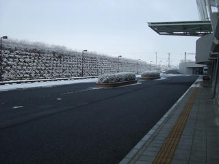 s-DSCF1555.jpg