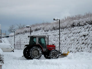 IMG_7730-01.jpg