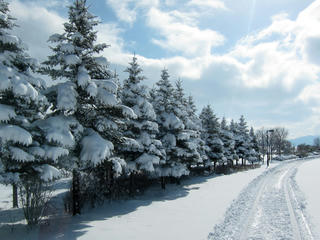 IMG_7735-01.jpg