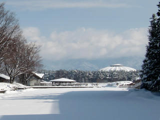 IMG_7737-01.jpg
