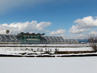 IMG_7740-01.jpg