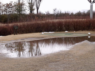 DSCF6672.jpg